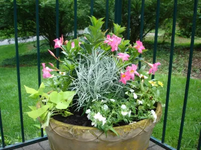 Planters and Pots — Landscape Construction project by Perfect Earth Landscape LLC in Louisville