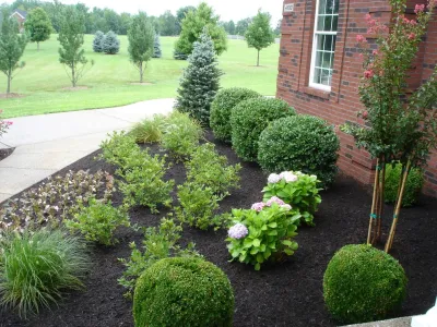 Bucker Renovation — Landscape Construction project by Perfect Earth Landscape LLC in Louisville