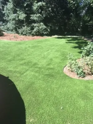 Perfect Turf - Land Cleaning in Castle Rock, CO