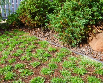 Personal Touch Landscape - Lawn Aeration in Honolulu, HI