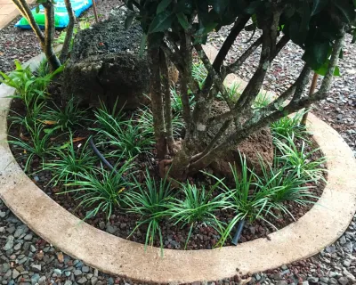 Personal Touch Landscape - Lawn Aeration in Honolulu, HI