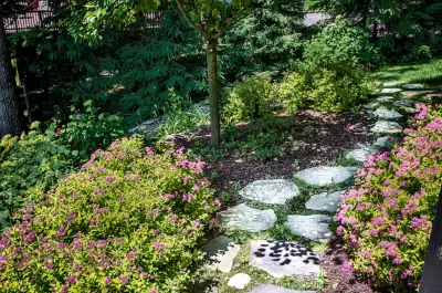 June 2017 | Recently Finished Projects by Landmark Horticultural Management