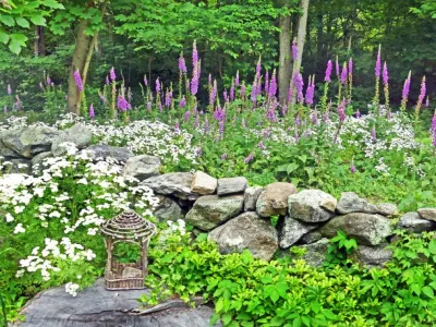 Peter Atkins and Associates., LLC - Lawn Aeration in Bedford, NY