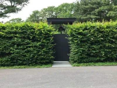Ornamental Pruning by Peter Atkins And Associates., LLC