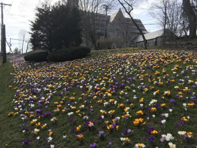Peter Atkins and Associates., LLC - Lawn Aeration in Bedford, NY