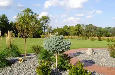 Our Efforts — Deck Building & Repair project by Delventhal Landscaping & Nursery Inc