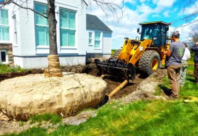 Large Tree Plantings — Landscape Construction project by Peter Atkins And Associates., LLC