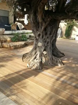 Turtle Woodworks - Carpentry & Woodworking in Tampa, FL