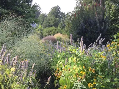 PetrowGardens Landscape Design - Outdoor Lighting Installation in Westport, CT