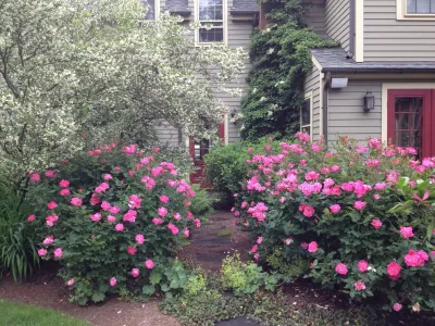 PetrowGardens Landscape Design - Outdoor Lighting Installation in Westport, CT