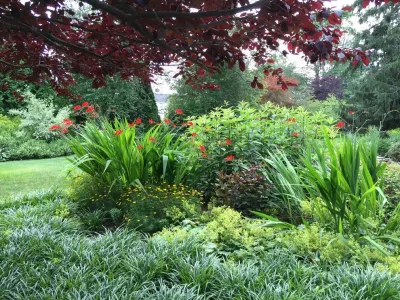 PetrowGardens Landscape Design - Outdoor Lighting Installation in Westport, CT