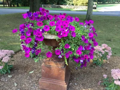 PetrowGardens Landscape Design - Outdoor Lighting Installation in Westport, CT