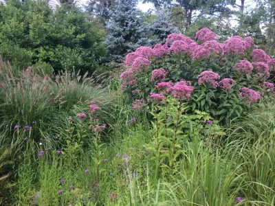 PetrowGardens Landscape Design - Outdoor Lighting Installation in Westport, CT