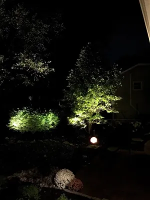 Up Lighting For Trees — Landscape Construction project by Pfeifer Landscaping