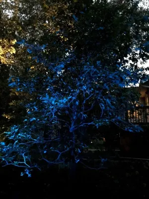 Pfeifer Landscaping - Outdoor Lighting Installation in Overland Park, KS