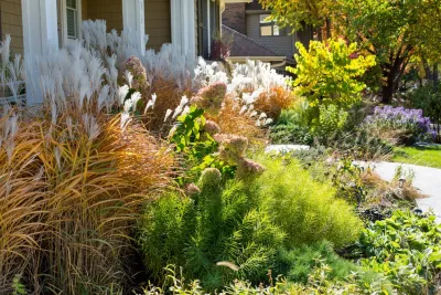 Phillips Garden - Landscape Maintenance in Minneapolis, MN