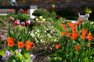 Phillips Garden - Landscape Maintenance in Minneapolis, MN