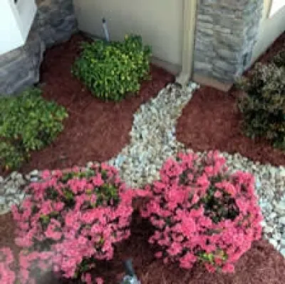 Mason Property Service, LLC - Landscape Maintenance in Fleming Island, FL
