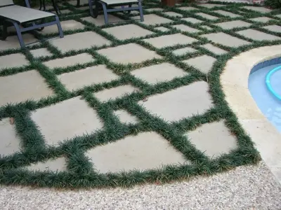 Primo Outdoor Living - Landscape Design in The Woodlands, TX