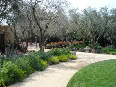 Pierre Landscape - Landscape Maintenance in Irwindale, CA