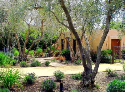 Pierre Landscape - Landscape Maintenance in Irwindale, CA