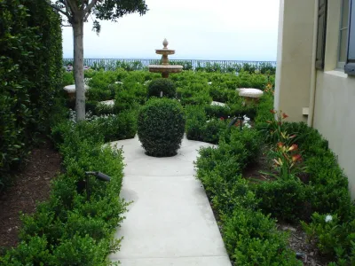 Pierre Landscape - Landscape Maintenance in Irwindale, CA