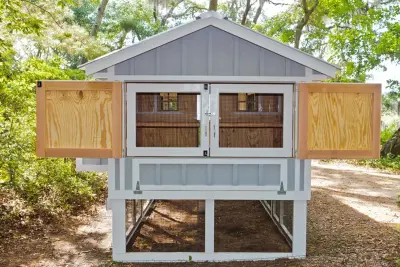 Carolina Chicken Shelter — Deck Building & Repair project by Carolina Coops