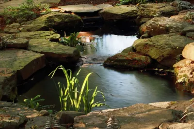 Pinehurst Landscape Company, Inc - Landscape Maintenance in Glen Arm, MD