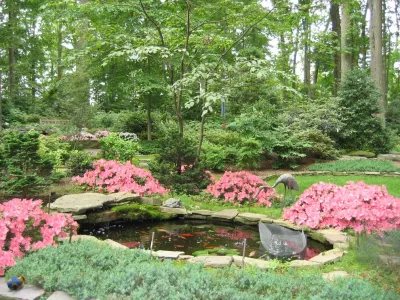 Pinehurst Landscape Company, Inc - Landscape Maintenance in Glen Arm, MD