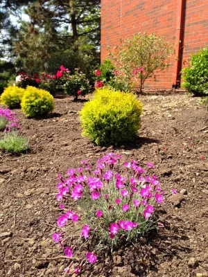 Pinnacle Landscaping - Landscape Construction in Columbus, OH