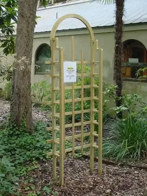 Alamo Arbor Design - Fence Installation in San Antonio, TX