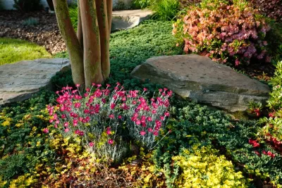 Plants Creative Landscapes - Lawn Aeration in Decatur, GA