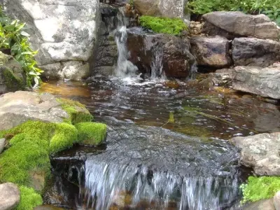 Carter's Nursery, Pond & Patio - Landscape Design in Jackson, TN