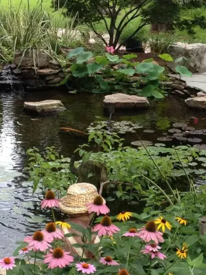 Water Feature — Deck Building & Repair project by Carter's Nursery, Pond & Patio