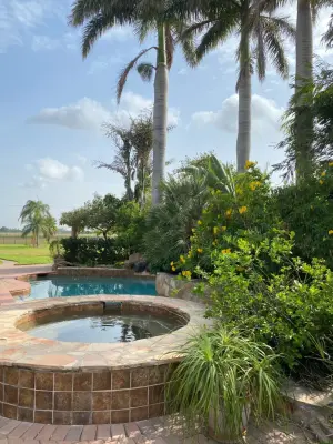 Tropical Patios, Inc. - Landscape Design in Harlingen, TX