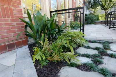 Plants Creative Landscapes - Lawn Aeration in Decatur, GA