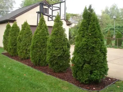 Phil Pitters, Inc. - Deck Building & Repair in Detroit, MI