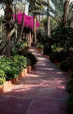 Patio Pavers Plus Inc - Tile & Stone Installation Services in Clayton, NC