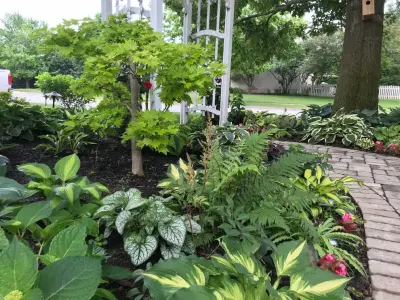 Buck & Sons Landscape - Design-Build Services in Hilliard, OH