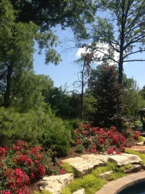 Pleasant View Construction - Tree Planting & Transplanting in Saint Louis, MO