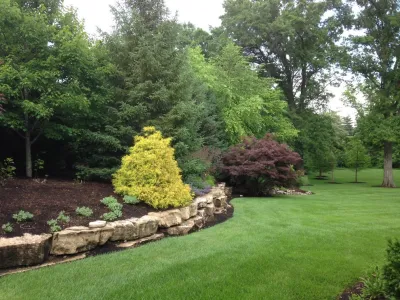 Pleasant View Construction - Tree Planting & Transplanting in Saint Louis, MO