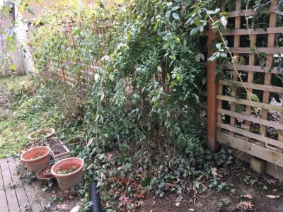 Plumb Landscapes Inc. - Landscape Repair in Seattle, WA