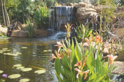 Pond Country - Landscape Construction in Colfax, NC