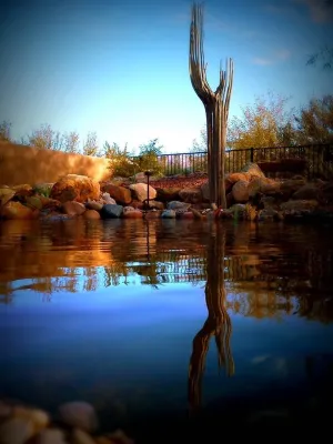 Pondscapes - Outdoor Lighting Installation in Queen Creek, AZ