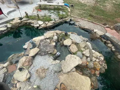 Powell's landshaping - Tree & Shrub Care in Oxford, OH
