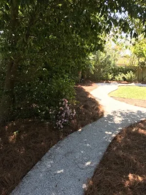 Boarder Tree Planting For Privacy Screen by Prados Landscapes LLC