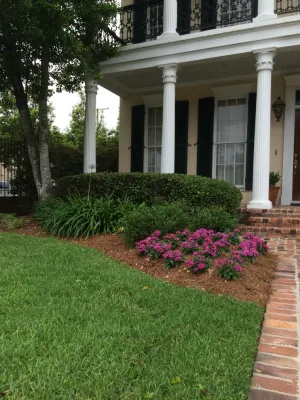 Annual Spring Planting in Metairie, LA by Prados Landscapes LLC