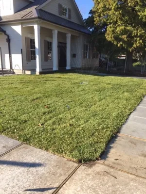 Prados Landscapes LLC - Patio Design & Installation in Belle Chasse, LA