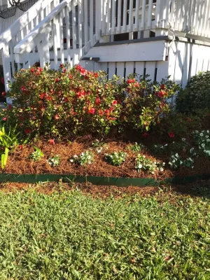 Prados Landscapes LLC - Patio Design & Installation in Belle Chasse, LA
