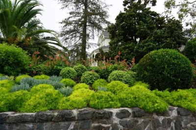 Prado's Landscaping - Irrigation System Repair in San Rafael, CA